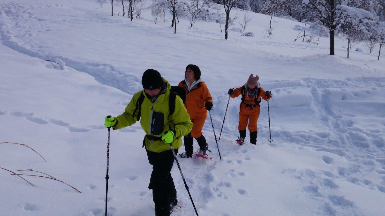 新穂高ビジターセンター山楽館