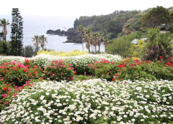 ニューヨークランプミュージアム&フラワーガーデン