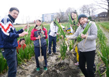 フレンドシップアドベンチャーズ