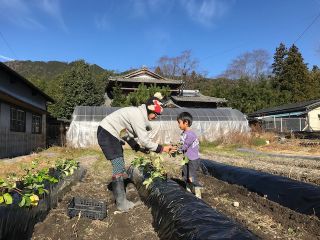 和ごころ農園