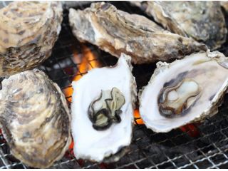 二見浦シーサイドバーベキュー場