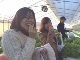 てしお夢ふぁーむ　桑名木曽岬農場