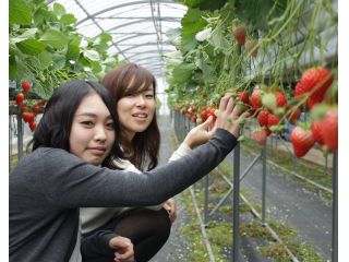 玉城ふれあい農園