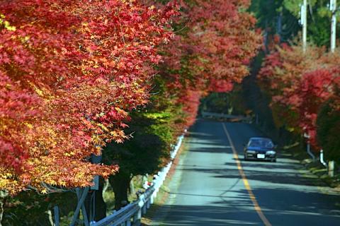 嵐山-高雄パークウエイ