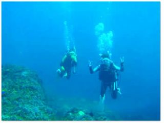 梶賀ダイビングサービス