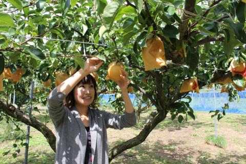 観光果樹園 フルーツ王国やさか