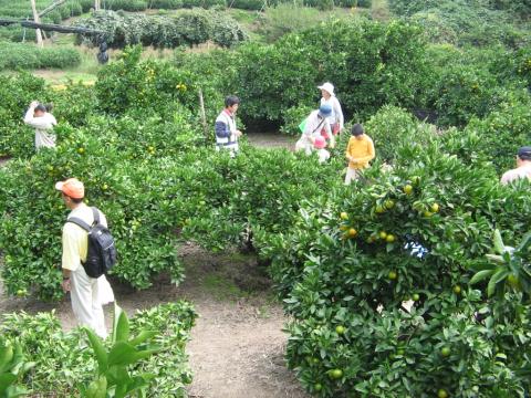 山城多賀フルーツライン