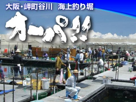 海上釣り堀オーパ!!