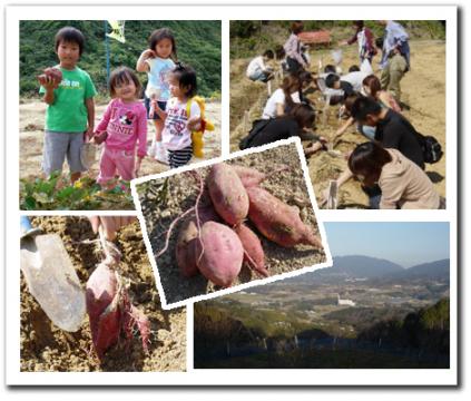 城山オレンヂ園