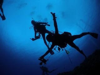 Diving　shop　DEJAVU