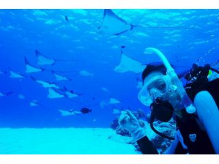 DIVECOLLEGE&amp;SHOP エススタイル