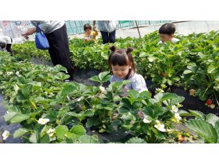 ムカイヤマカーサ　コバタノウエン