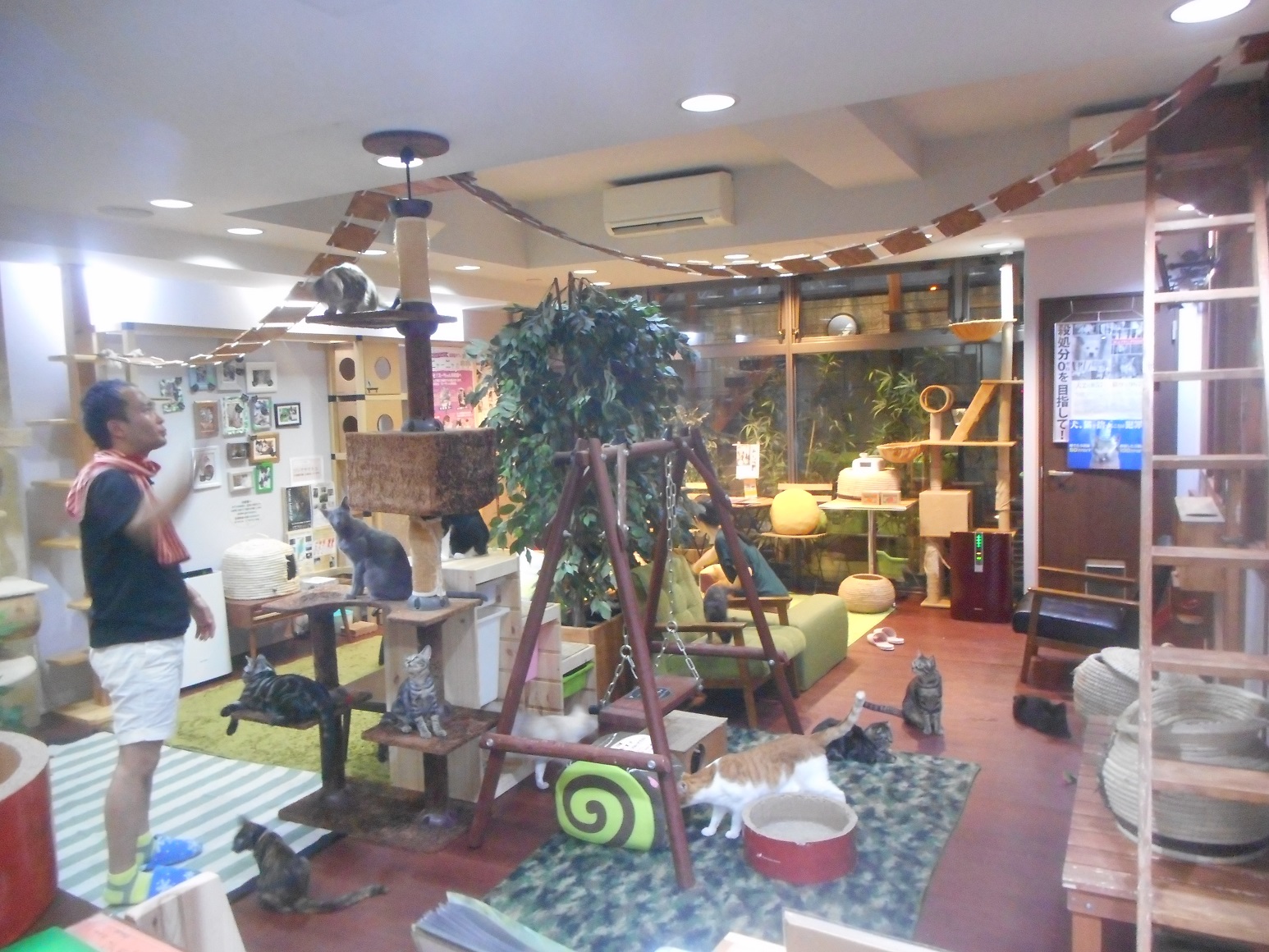 Cat　Cafe　ニャーニャの森