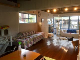 海ねこビーチハウス