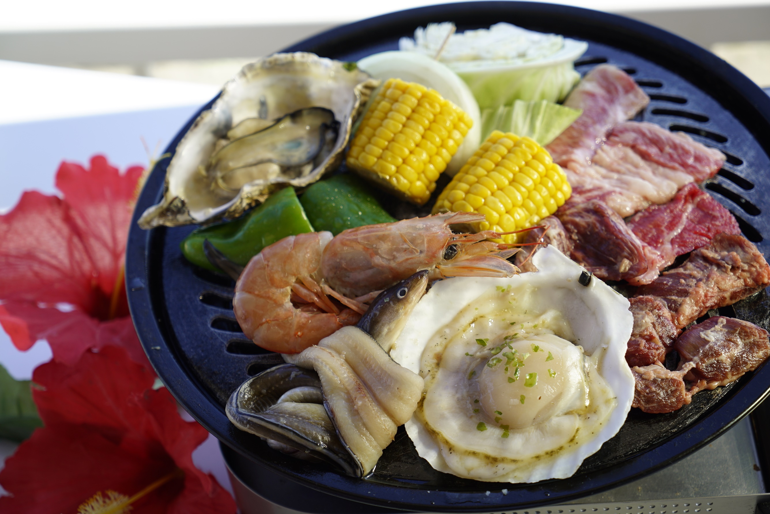 ビーチハウス　海岸物語