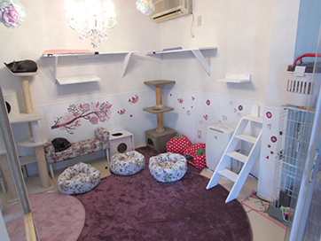 保護猫カフェグラビューハート