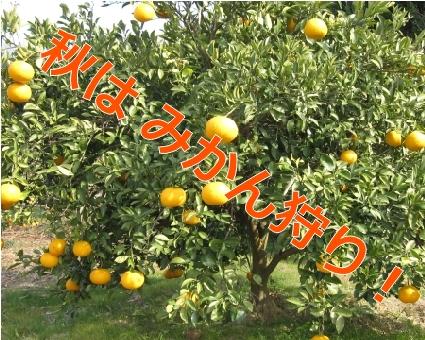 遊農園ムラタケ