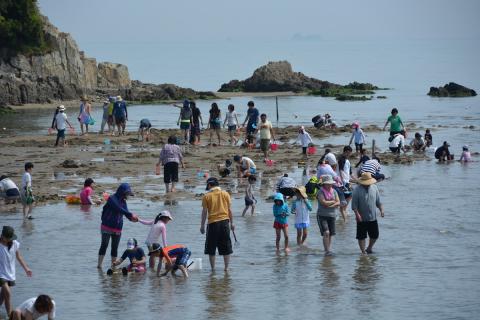 赤穂唐船サンビーチ 潮干狩り場