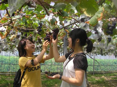 淡路島フルーツ農園