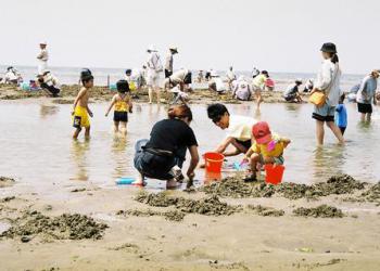 新舞子潮干狩場