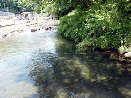 すそのフィッシングパーク