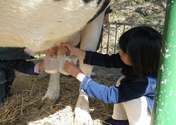鷹山ファミリー牧場
