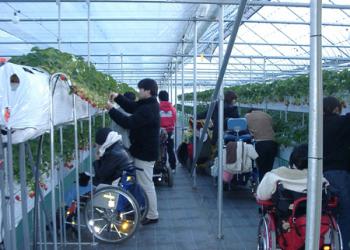 グルメいちご館 前田