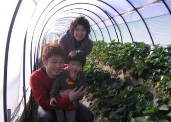 いちごランドマサミ