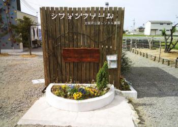 シフォンファーム