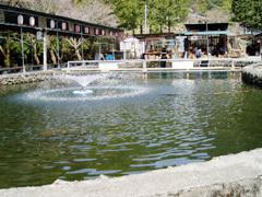 養沢フィッシングランド