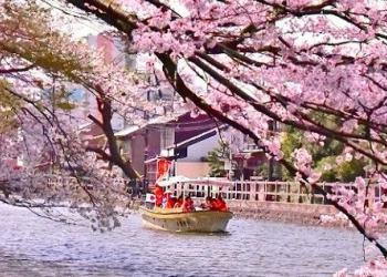 高岡古城公園お濠めぐり遊覧船