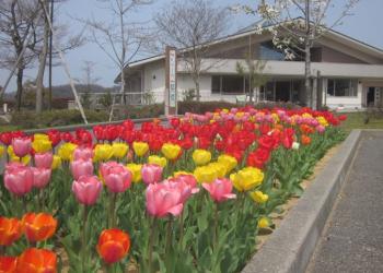 戸室スポーツ広場