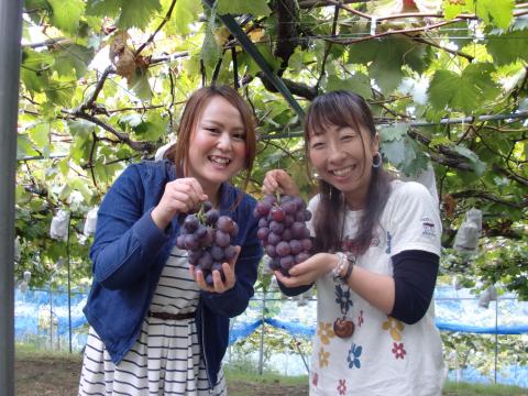 特定非営利法人かつらぎフルーツ王国振興公社