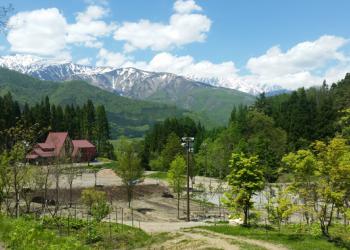 白馬森のわさび農園