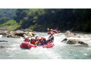 エバーグリーン