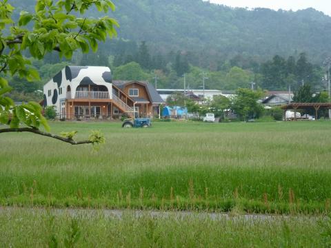 トムミルクファーム