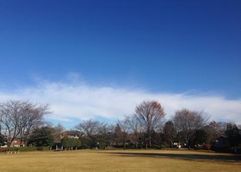 岡之郷緑地公園