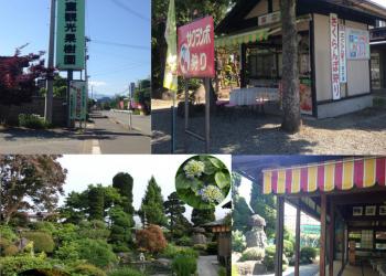 元祖天童観光果樹園