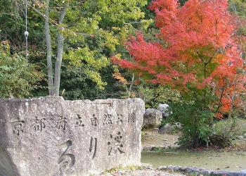 るり渓観光農園