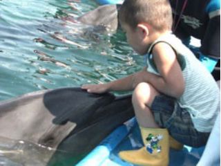 ドルフィンリゾート