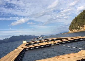 海上釣り堀 海遊