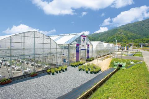 ウェルネスビレッジ 秋吉ファームガーデン