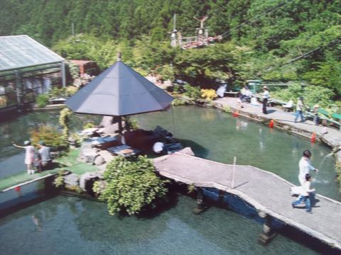 神山スキーランド