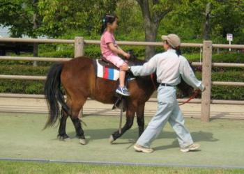 のまうまハイランド