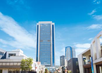 横浜ホームコレクション