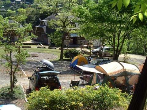 コットンフィールド