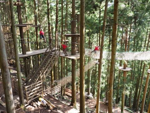フォレストアドベンチャー・祖谷