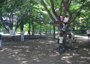 杉並冒険遊び場 のびっぱひろっぱ