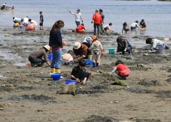 一色海岸 潮干狩り場