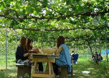 たけきん果樹園